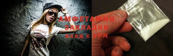 стаф Аркадак