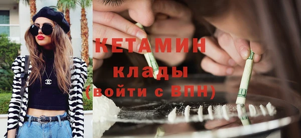 стаф Аркадак