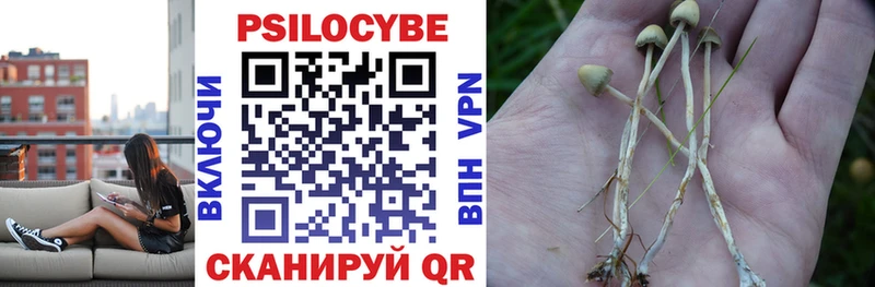 Галлюциногенные грибы мухоморы  дарнет шоп  Ростов 